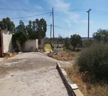 Επαγγελ. Οικόπεδο 4250τ.μ. προς πώληση φωτογραφία 3341471