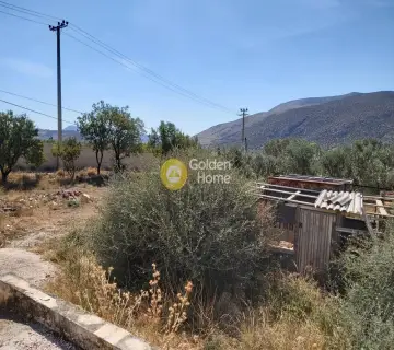Επαγγελ. Οικόπεδο 4250τ.μ. προς πώληση φωτογραφία 3341471