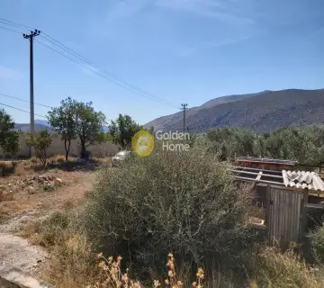 Επαγγελ. Οικόπεδο 4250τ.μ. προς πώληση φωτογραφία 3341471