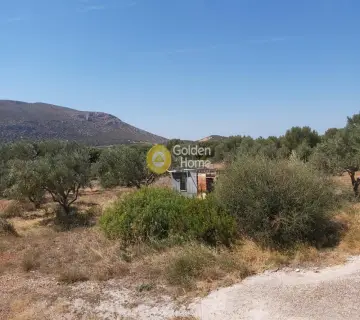 Επαγγελ. Οικόπεδο 4250τ.μ. προς πώληση φωτογραφία 3341473