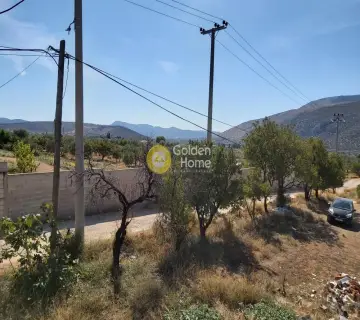 Επαγγελ. Οικόπεδο 4250τ.μ. προς πώληση φωτογραφία 3341474