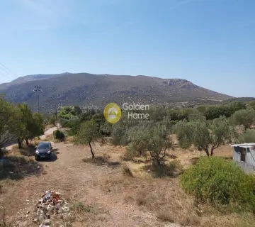 Επαγγελ. Οικόπεδο 4250τ.μ. προς πώληση φωτογραφία 3341474