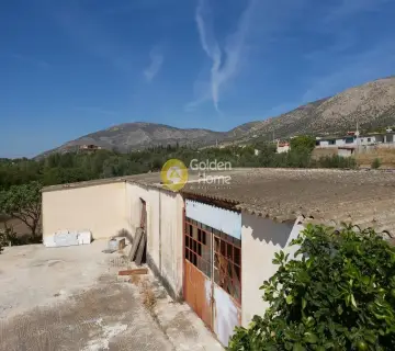 Επαγγελ. Οικόπεδο 4250τ.μ. προς πώληση φωτογραφία 3341474