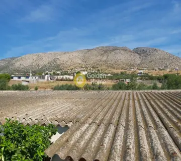 Επαγγελ. Οικόπεδο 4250τ.μ. προς πώληση φωτογραφία 3341474