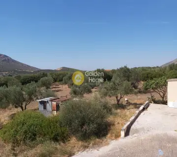 Επαγγελ. Οικόπεδο 4250τ.μ. προς πώληση φωτογραφία 3341474