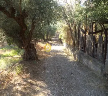 Parcel 1704m<sup>2</sup> for sale photo 3341404