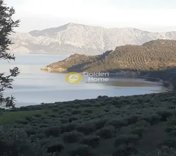 Οικιστικό 1045τ.μ. προς πώληση φωτογραφία 3