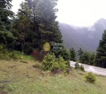土地 4250m<sup>2</sup> for sale photo 2