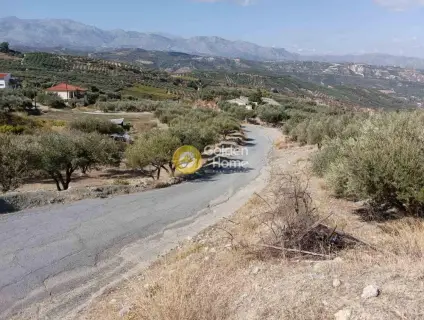 Residential 1275m<sup>2</sup> for sale photo 3