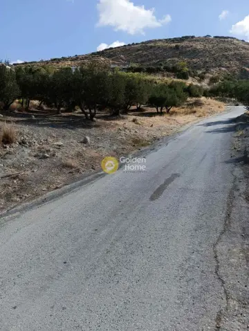 Residential 1275m<sup>2</sup> for sale photo 4