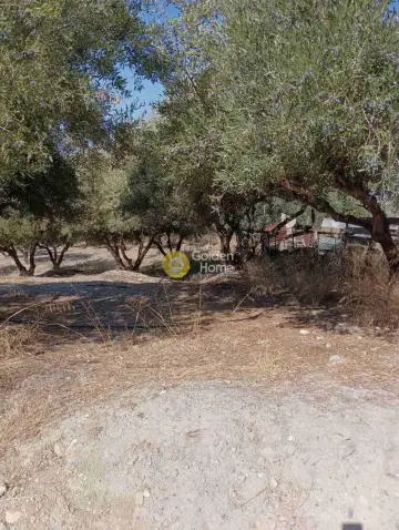 Residential 1275m<sup>2</sup> for sale photo 5