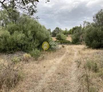 Parcel 41000m<sup>2</sup> for sale photo 1