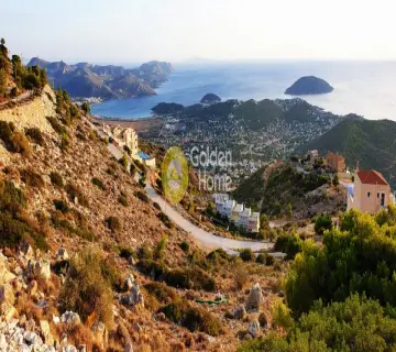 Golden Home Property Image