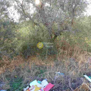 Professional Plot 1331m<sup>2</sup> for sale photo 7