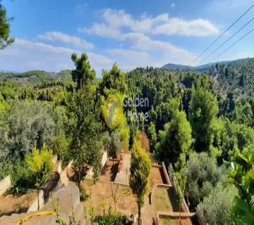 House 450m<sup>2</sup> for sale photo 88