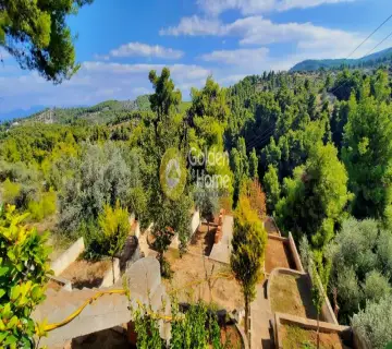 House 450m<sup>2</sup> for sale photo 90