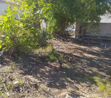 Residential 850m<sup>2</sup> for sale photo 3373101