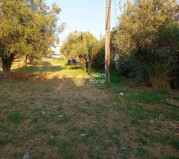 Residential 8024m<sup>2</sup> for sale photo 3
