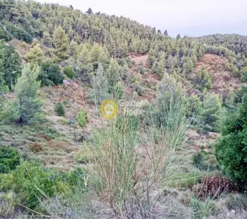 Residential 8024m<sup>2</sup> for sale photo 8