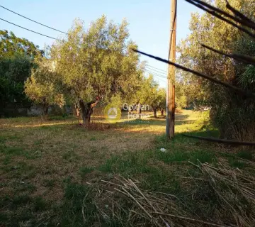 Residential 8024m<sup>2</sup> for sale photo 9