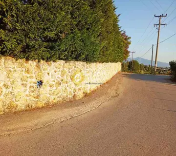 Residential 8024m<sup>2</sup> for sale photo 21
