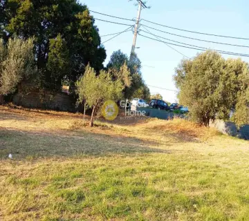 Residential 8024m<sup>2</sup> for sale photo 24