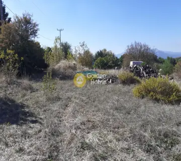 Professional Plot 11500m<sup>2</sup> for sale photo 3386768