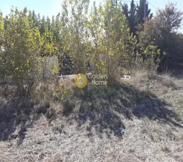 Professional Plot 11500m<sup>2</sup> for sale photo 3386770