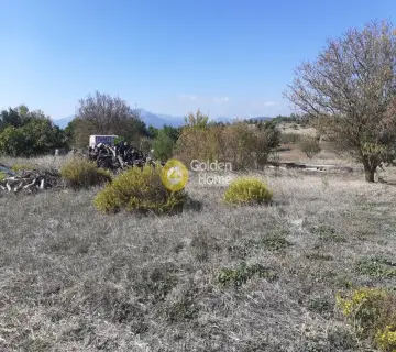 Professional Plot 11500m<sup>2</sup> for sale photo 3386771