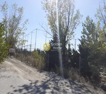 Professional Plot 11500m<sup>2</sup> for sale photo 3386775