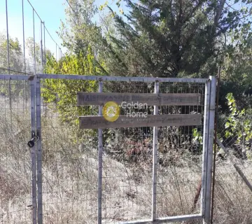 Professional Plot 11500m<sup>2</sup> for sale photo 3386783