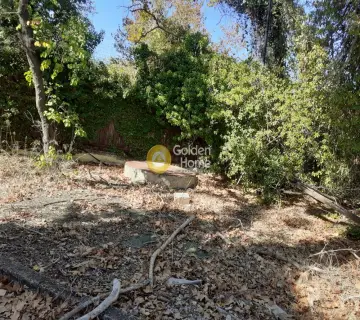 Professional Plot 11500m<sup>2</sup> for sale photo 3386821