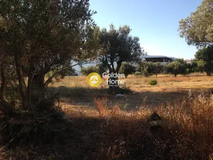 Professional Plot 4750m<sup>2</sup> for sale photo 14