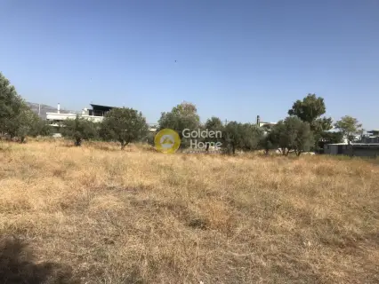 Professional Plot 4750m<sup>2</sup> for sale photo 3