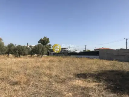 Professional Plot 4750m<sup>2</sup> for sale photo 1