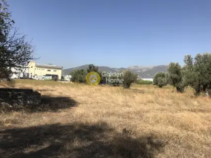 Professional Plot 4750m<sup>2</sup> for sale photo 4