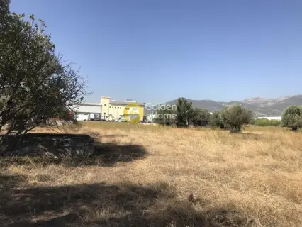 Professional Plot 4750m<sup>2</sup> for sale photo 7