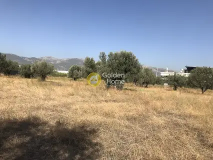 Professional Plot 4750m<sup>2</sup> for sale photo 5