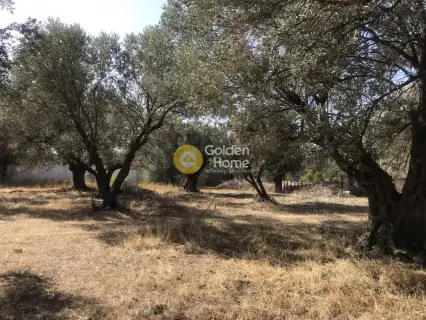 Professional Plot 4750m<sup>2</sup> for sale photo 9