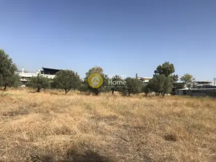 Professional Plot 4750m<sup>2</sup> for sale photo 2