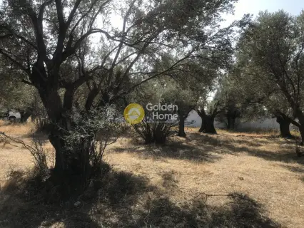 Professional Plot 4750m<sup>2</sup> for sale photo 10
