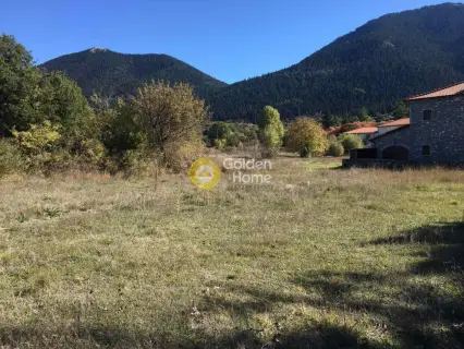 Professional Plot 1461m<sup>2</sup> for sale photo 2