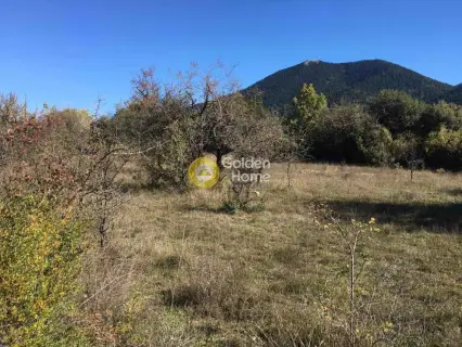 Professional Plot 1461m<sup>2</sup> for sale photo 5