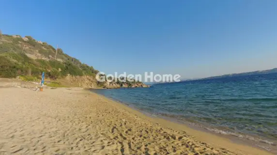 Αγροτεμάχιο 11000τ.μ. προς πώληση φωτογραφία 5339024