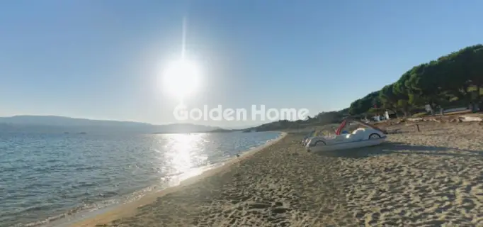 Αγροτεμάχιο 11000τ.μ. προς πώληση φωτογραφία 5339024