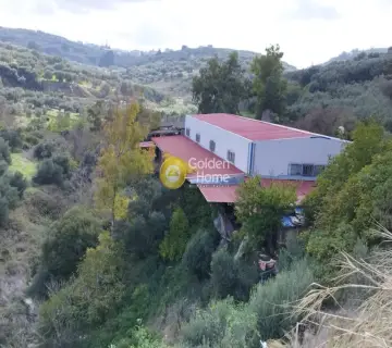 Independent Building 500m<sup>2</sup> for sale photo 3