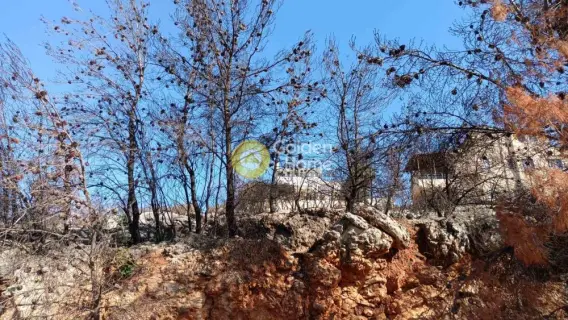 Residential 493m<sup>2</sup> for sale photo 3376048