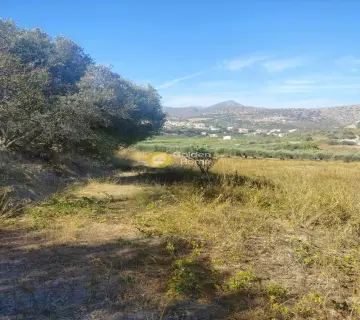 Residential 4311m<sup>2</sup> for sale photo 3901582