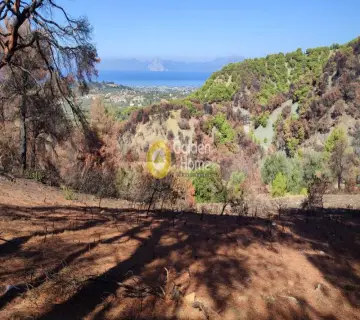 Parcel 4400m<sup>2</sup> for sale photo 2