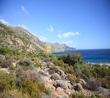 Οικιστικό 4957τ.μ. προς πώληση φωτογραφία 3378687